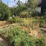 Naturnah In Schoenem Haus Mit Garten Und 10 Betten Prázdninový dům Windeck