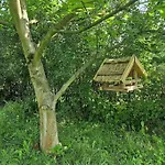 Naturnah In Schoenem Haus Mit Garten Und 10 Betten
