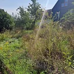 Naturnah In Schoenem Haus Mit Garten Und 10 Betten Prázdninový dům Windeck