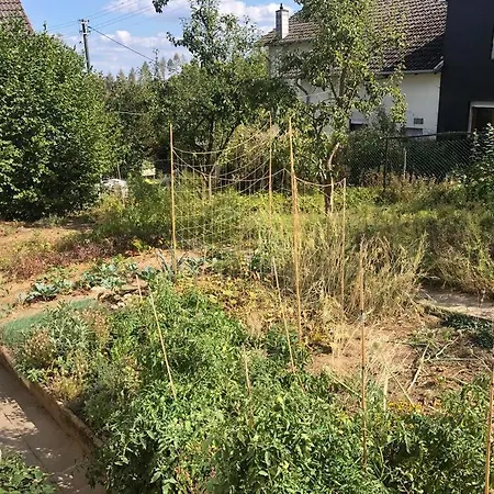 Naturnahes Wohnen In Einem Alten Haus Mit Garten Nyaraló Windeck