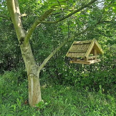 Naturnah In Schoenem Haus Mit Garten Und 10 Betten