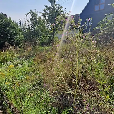 Naturnahes Wohnen In Einem Alten Haus Mit Garten Nyaraló Windeck