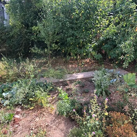 Nyaraló Naturnahes Wohnen In Einem Alten Haus Mit Garten