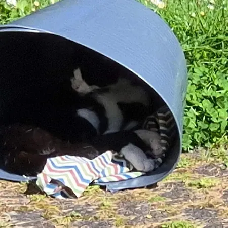 Naturnahes Wohnen In Einem Alten Haus Mit Garten Windeck