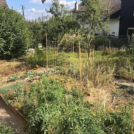 Naturnahes Wohnen In Einem Alten Haus Mit Garten * Windeck