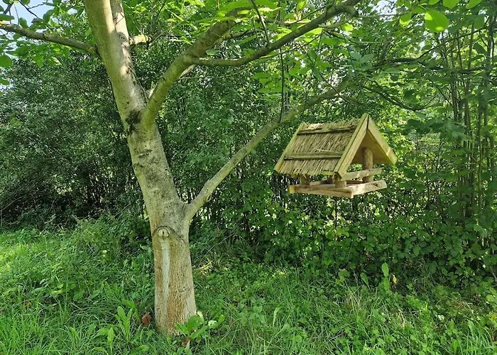 Naturnahes Wohnen In Einem Alten Haus Mit Garten