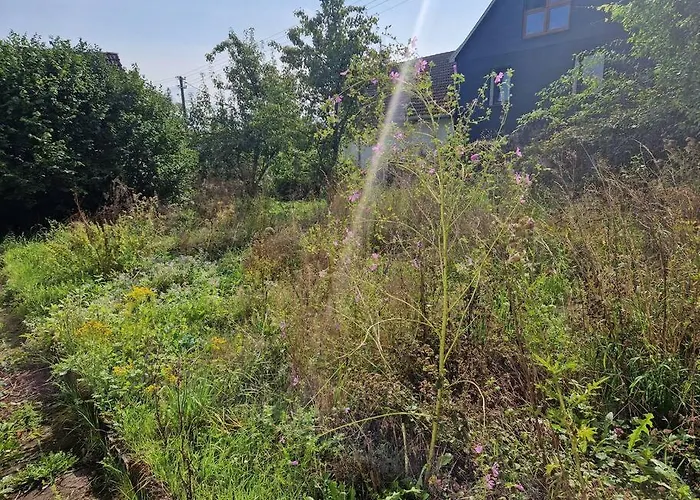 Naturnahes Wohnen In Einem Alten Haus Mit Garten Дом отдыха Windeck