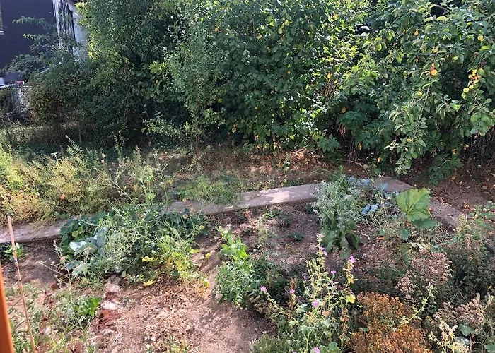 Дом отдыха Naturnahes Wohnen In Einem Alten Haus Mit Garten