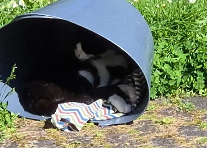 Naturnahes Wohnen In Einem Alten Haus Mit Garten Windeck