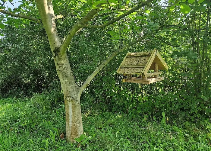 Feriehus Naturnahes Wohnen In Einem Alten Haus Mit Garten *